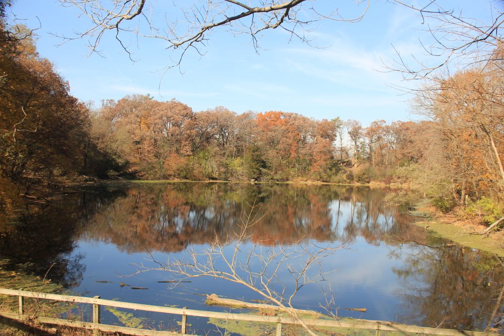 Matthiessen SP